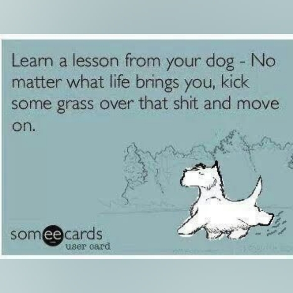 Meet your Posher, Liz - Picture 13 of 13